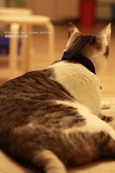 IMG_0556.JPG IMG_0556.JPG