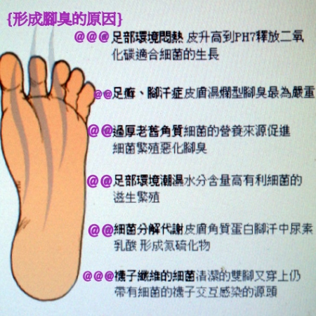 4.jpg 4.jpg