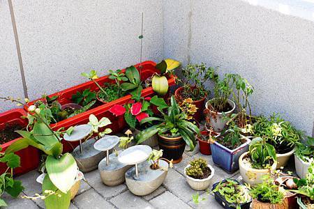 安平 Pepper Mill 楜椒磨坊