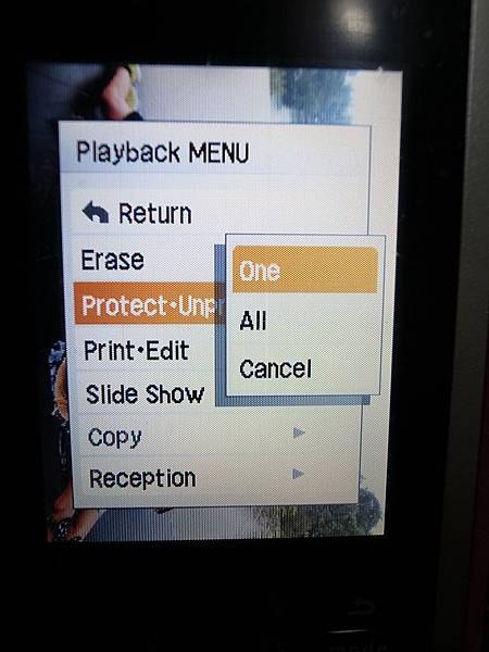 R0017844.JPG R0017844.JPG