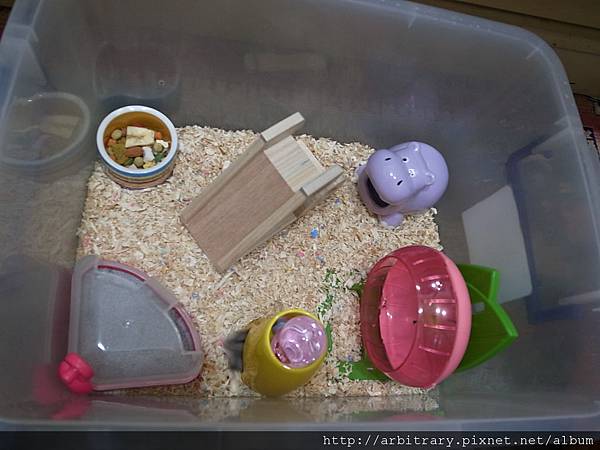 R0018207.JPG R0018207.JPG