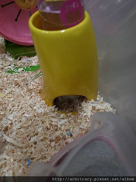 R0018208.jpg R0018208.jpg