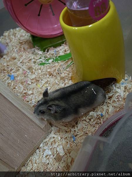 R0018209.jpg R0018209.jpg