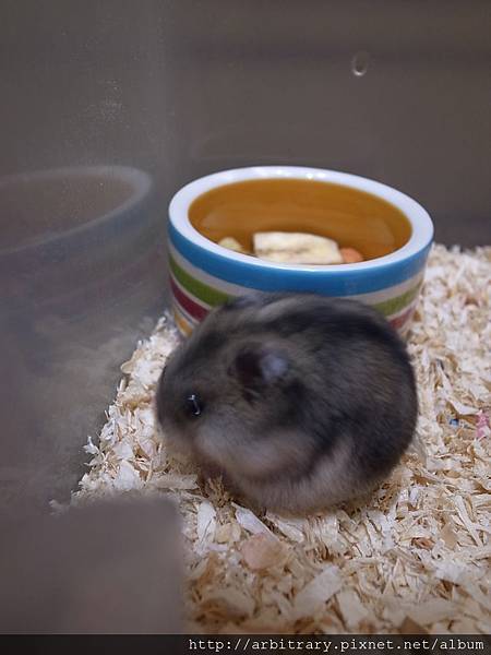 R0018216.jpg R0018216.jpg