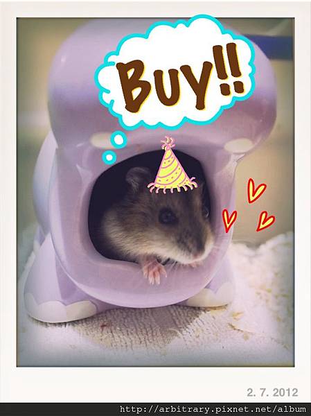 IMG_6245.JPG IMG_6245.JPG