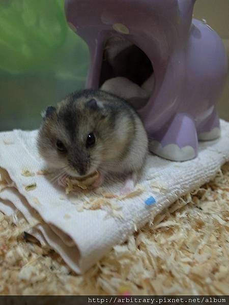 R0018139.jpg R0018139.jpg