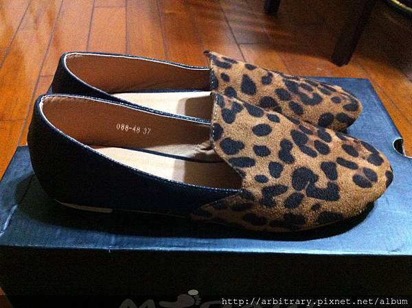 Photo 12-10-23 下午10 37 34 Photo 12-10-23 下午10 37 34