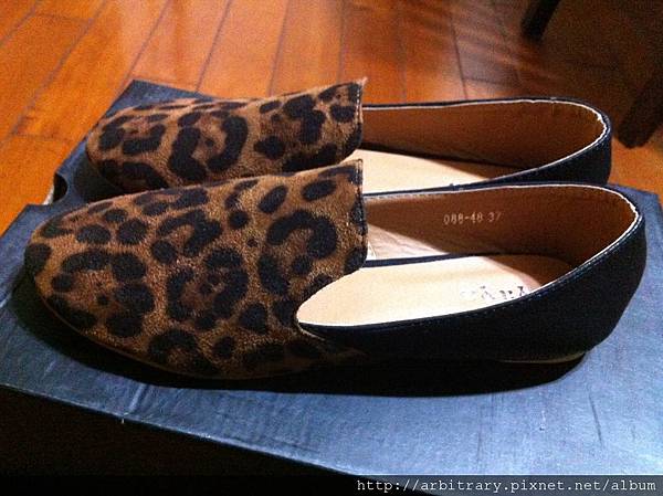 Photo 12-10-23 下午10 37 19 Photo 12-10-23 下午10 37 19