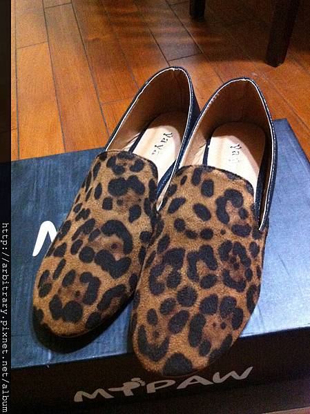 Photo 12-10-23 下午10 37 12 Photo 12-10-23 下午10 37 12