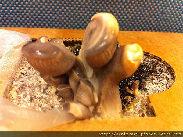 Photo 12-11-6 上午9 10 35 Photo 12-11-6 上午9 10 35