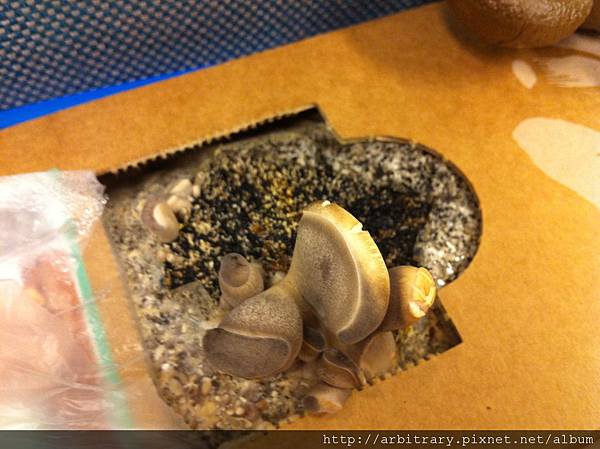 Photo 12-11-6 上午9 19 44 Photo 12-11-6 上午9 19 44