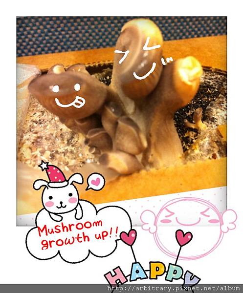 Photo 12-11-6 下午3 59 10 Photo 12-11-6 下午3 59 10