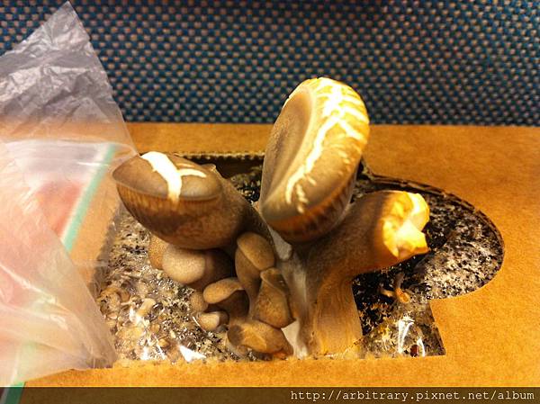 Photo 12-11-7 上午9 35 50 Photo 12-11-7 上午9 35 50