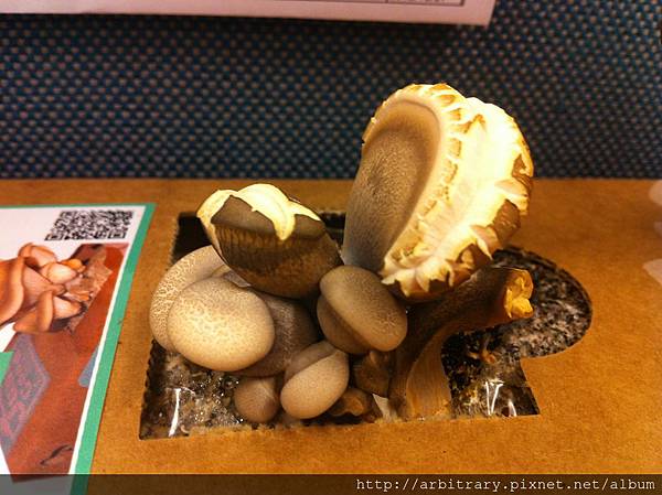 Photo 12-11-8 上午9 11 26 Photo 12-11-8 上午9 11 26