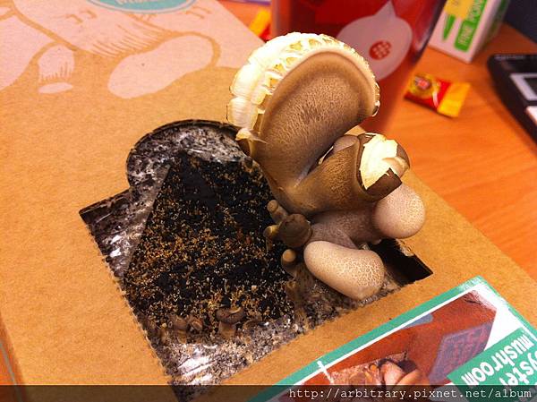 Photo 12-11-8 上午9 12 54 Photo 12-11-8 上午9 12 54