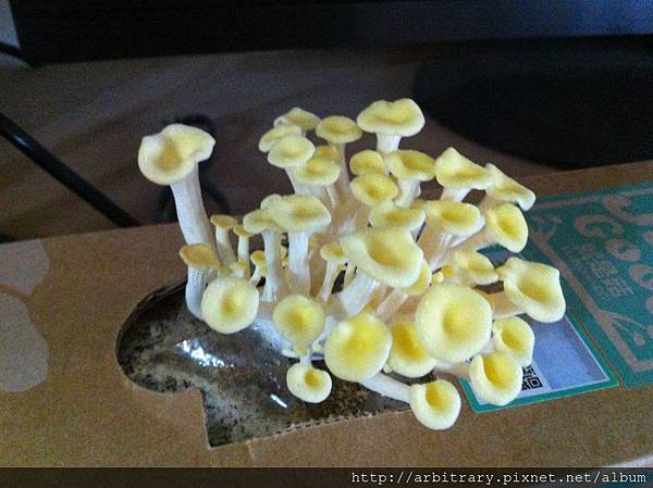 Photo 12-11-11 下午1 36 11 Photo 12-11-11 下午1 36 11