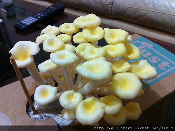 Photo 12-11-11 下午11 38 07 Photo 12-11-11 下午11 38 07