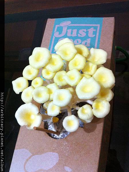 Photo 12-11-11 下午11 38 00 Photo 12-11-11 下午11 38 00