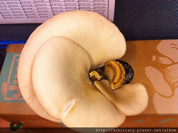 Photo 12-11-12 上午9 03 57 Photo 12-11-12 上午9 03 57