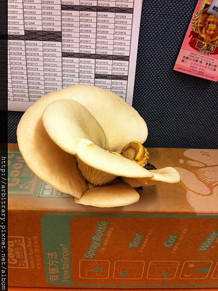 Photo 12-11-12 上午9 03 24 Photo 12-11-12 上午9 03 24