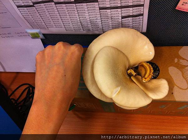 Photo 12-11-12 上午9 05 57 Photo 12-11-12 上午9 05 57