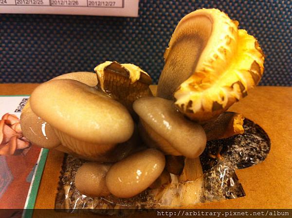 Photo 12-11-9 上午9 03 26 Photo 12-11-9 上午9 03 26