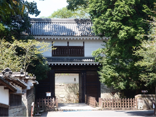 P8301250 P8301250