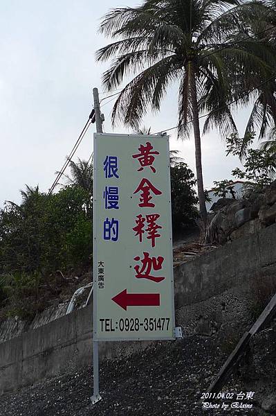 P1220623.JPG P1220623.JPG