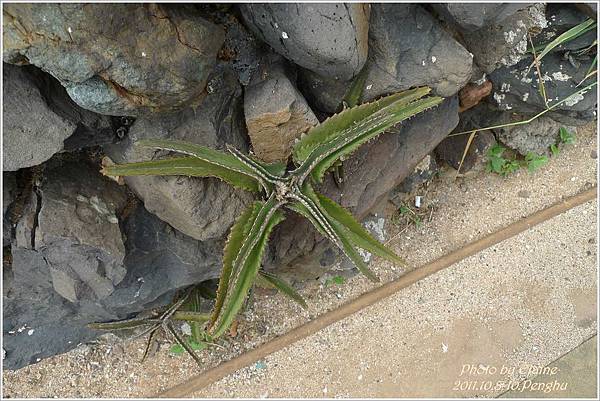 P1250422.JPG P1250422.JPG