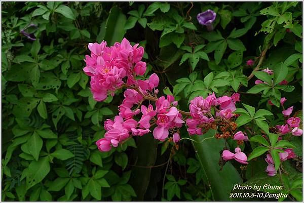 P1250477.JPG P1250477.JPG