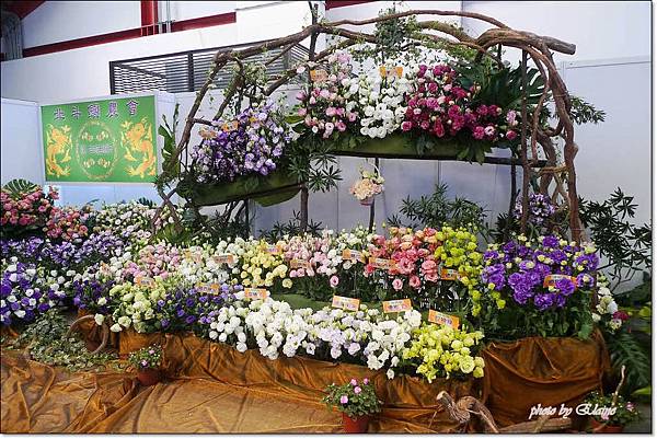 P1260854.jpg P1260854.jpg