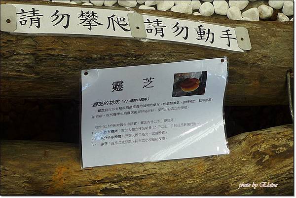 P1260861.jpg P1260861.jpg