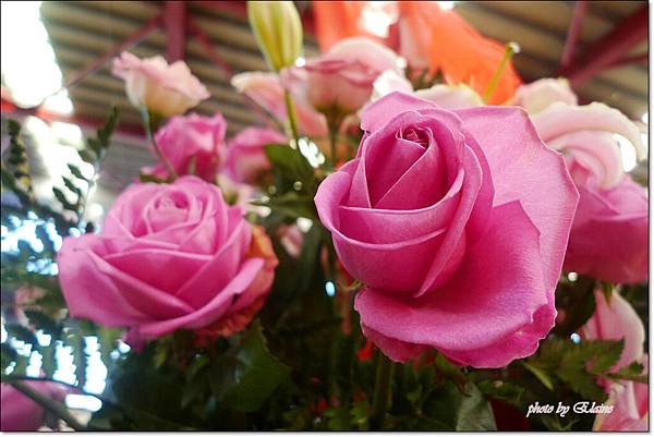 P1260866.jpg P1260866.jpg