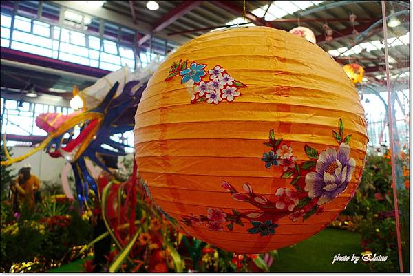 P1260868.jpg P1260868.jpg