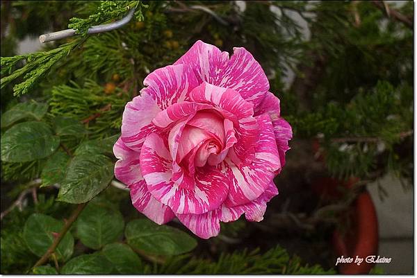 P1260869.jpg P1260869.jpg