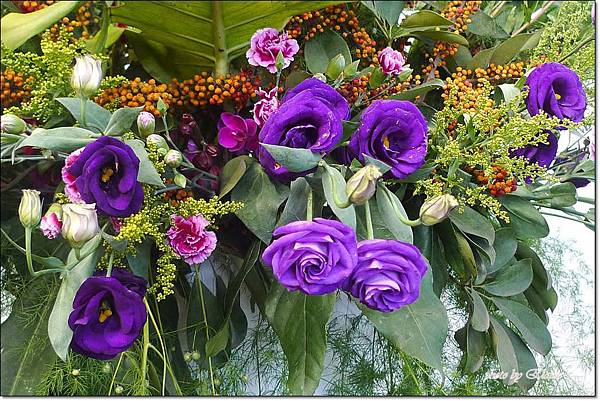 P1260870.jpg P1260870.jpg