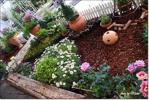 P1260871.jpg P1260871.jpg