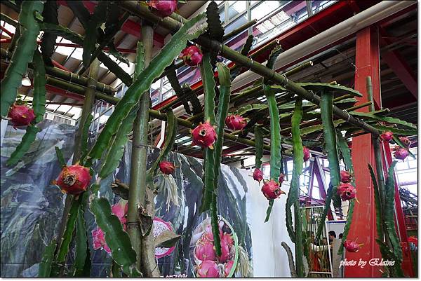 P1260873.jpg P1260873.jpg