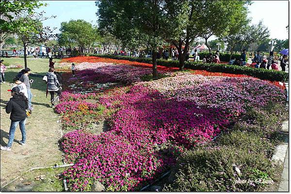 P1260877.jpg P1260877.jpg