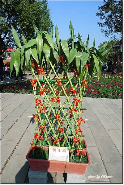 P1260881.jpg P1260881.jpg