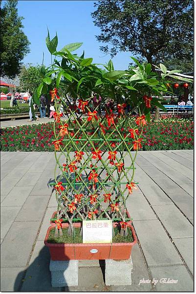 P1260882.jpg P1260882.jpg