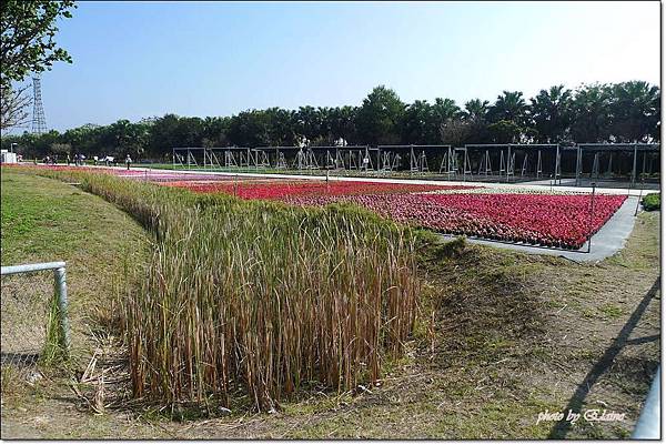 P1260884.jpg P1260884.jpg