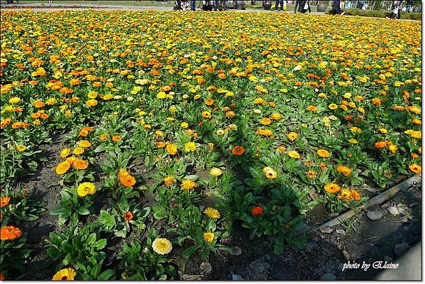 P1260886.jpg P1260886.jpg