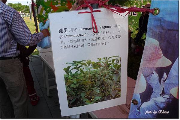 P1260891.jpg P1260891.jpg