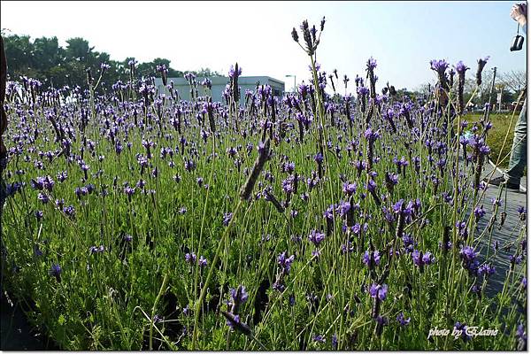 P1260892.jpg P1260892.jpg