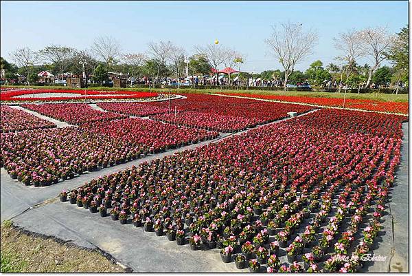 P1260893.jpg P1260893.jpg