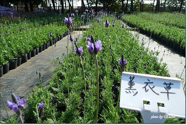 P1260897.jpg P1260897.jpg