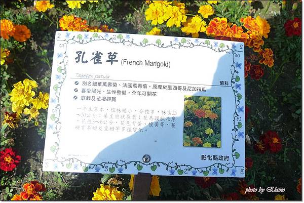 P1260903.jpg P1260903.jpg