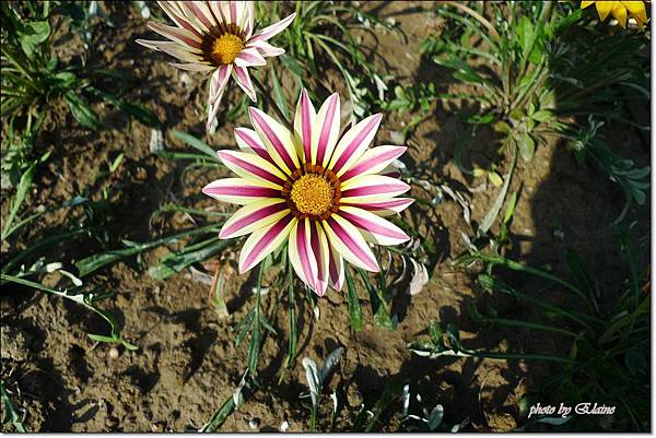 P1260917.jpg P1260917.jpg