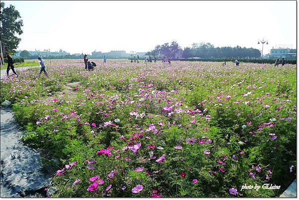 P1260940.jpg P1260940.jpg